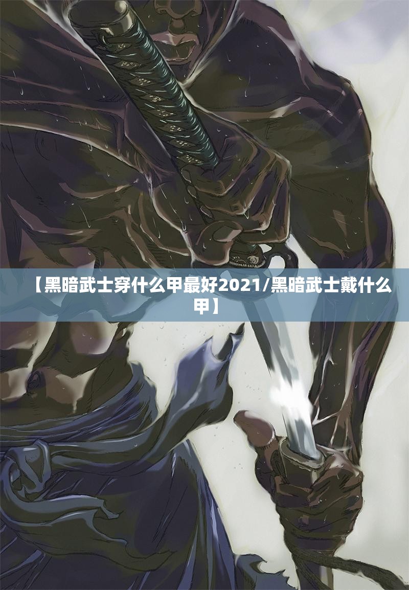 【黑暗武士穿什么甲最好2021/黑暗武士戴什么甲】