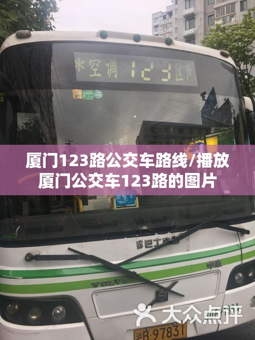 厦门123路公交车路线/播放厦门公交车123路的图片