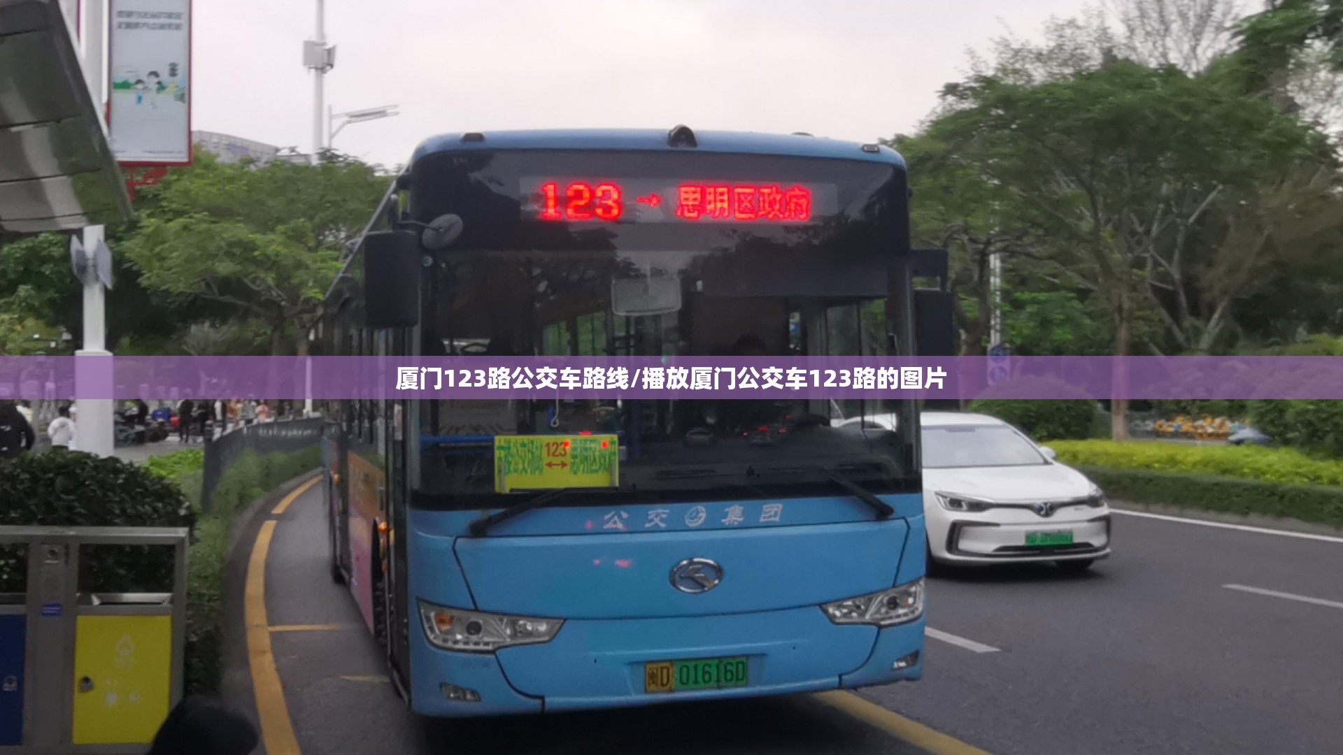 厦门123路公交车路线/播放厦门公交车123路的图片