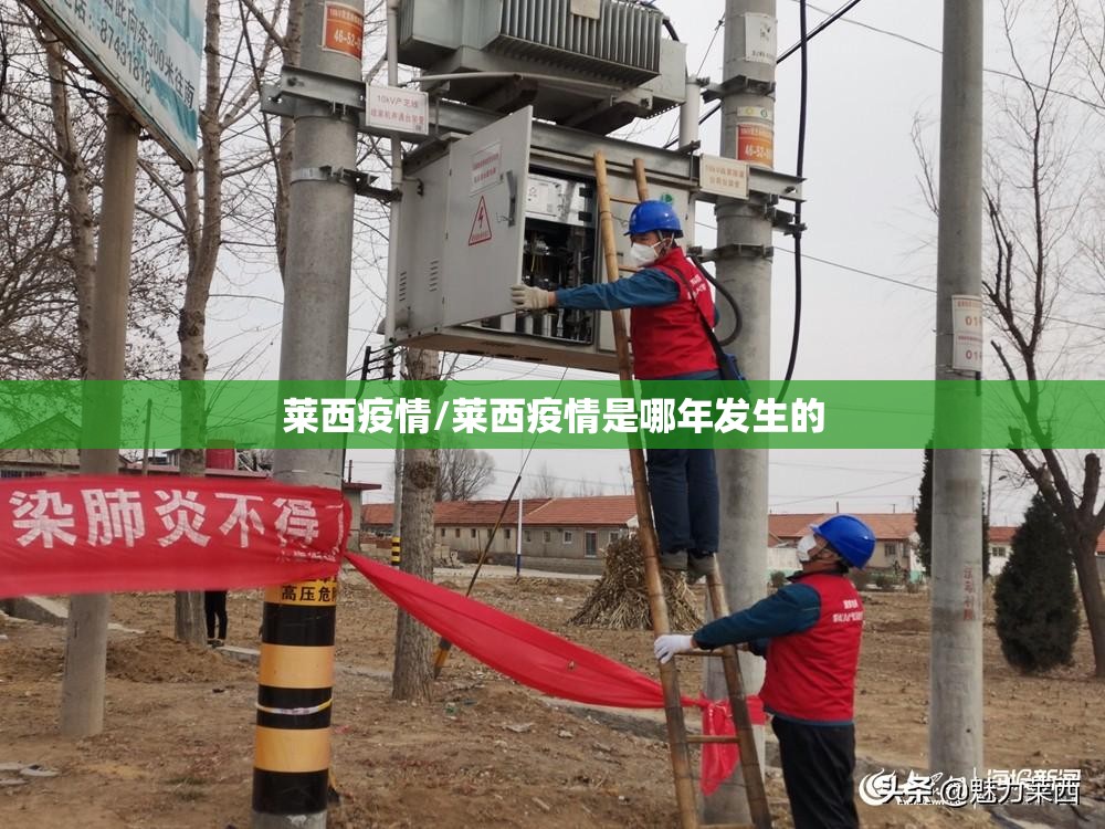 莱西疫情/莱西疫情是哪年发生的