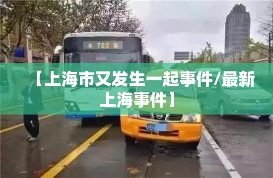 【上海市又发生一起事件/最新上海事件】