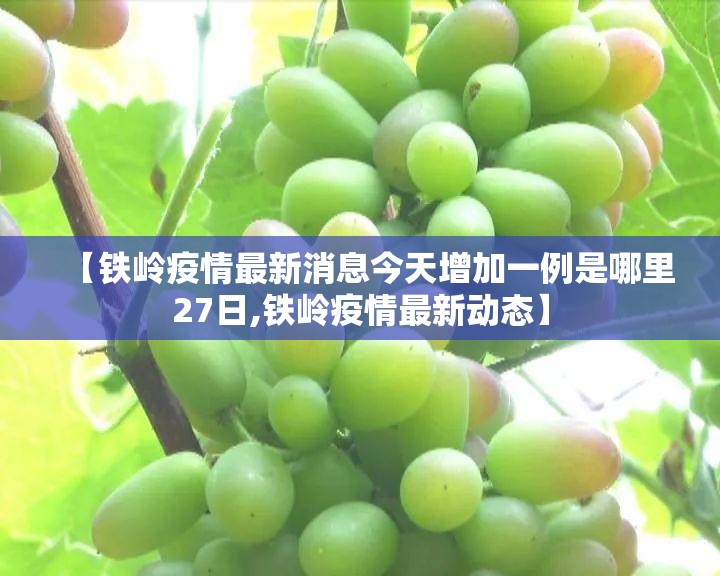 【铁岭疫情最新消息今天增加一例是哪里27日,铁岭疫情最新动态】