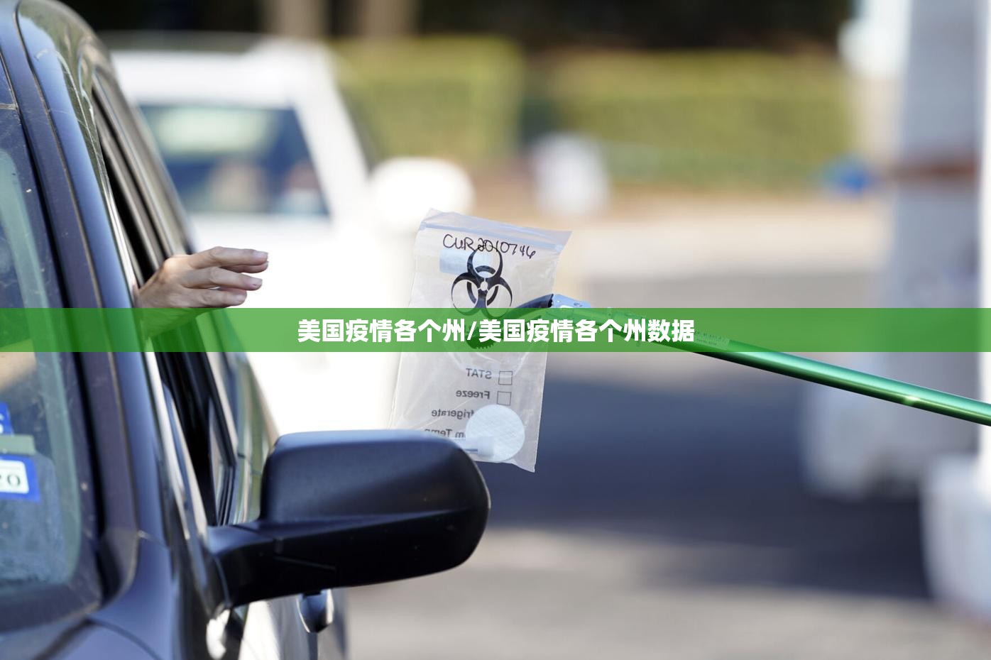 美国疫情各个州/美国疫情各个州数据