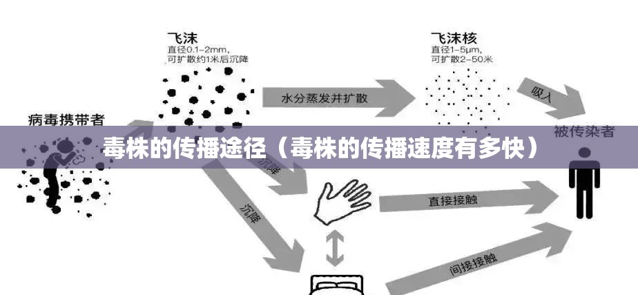 毒株的传播途径（毒株的传播速度有多快）