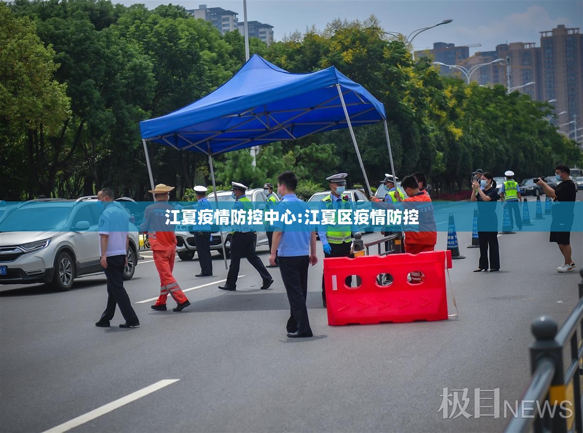 江夏疫情防控中心:江夏区疫情防控