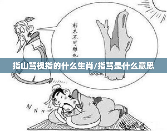 指山骂槐指的什么生肖/指骂是什么意思