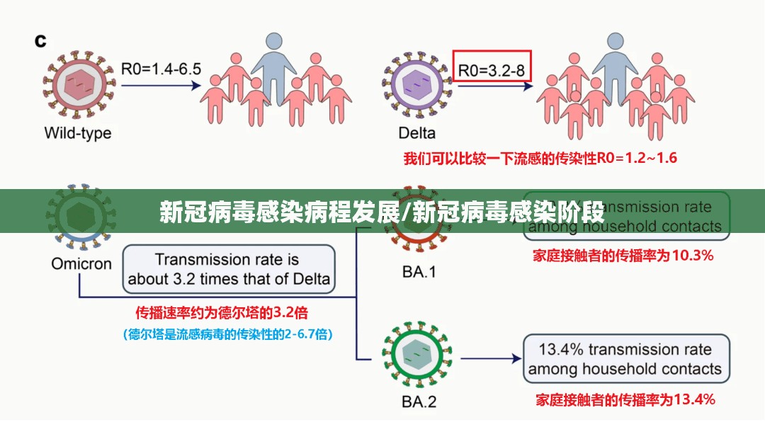 新冠病毒感染病程发展/新冠病毒感染阶段