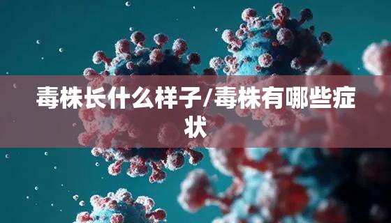 毒株长什么样子/毒株有哪些症状
