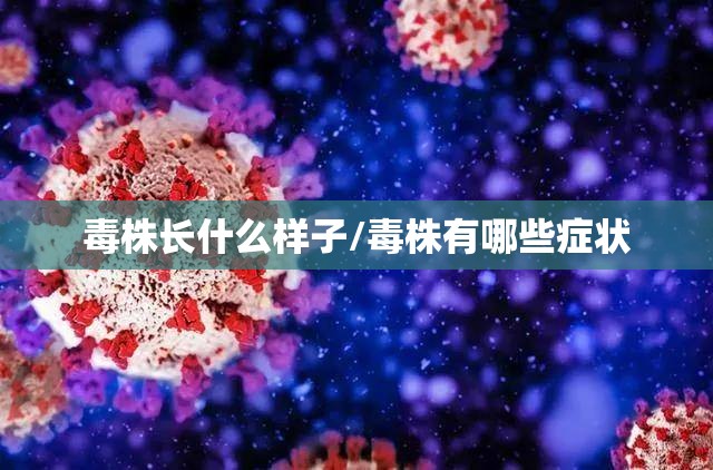 毒株长什么样子/毒株有哪些症状