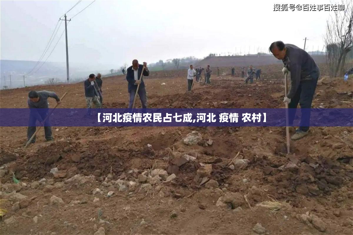 【河北疫情农民占七成,河北 疫情 农村】
