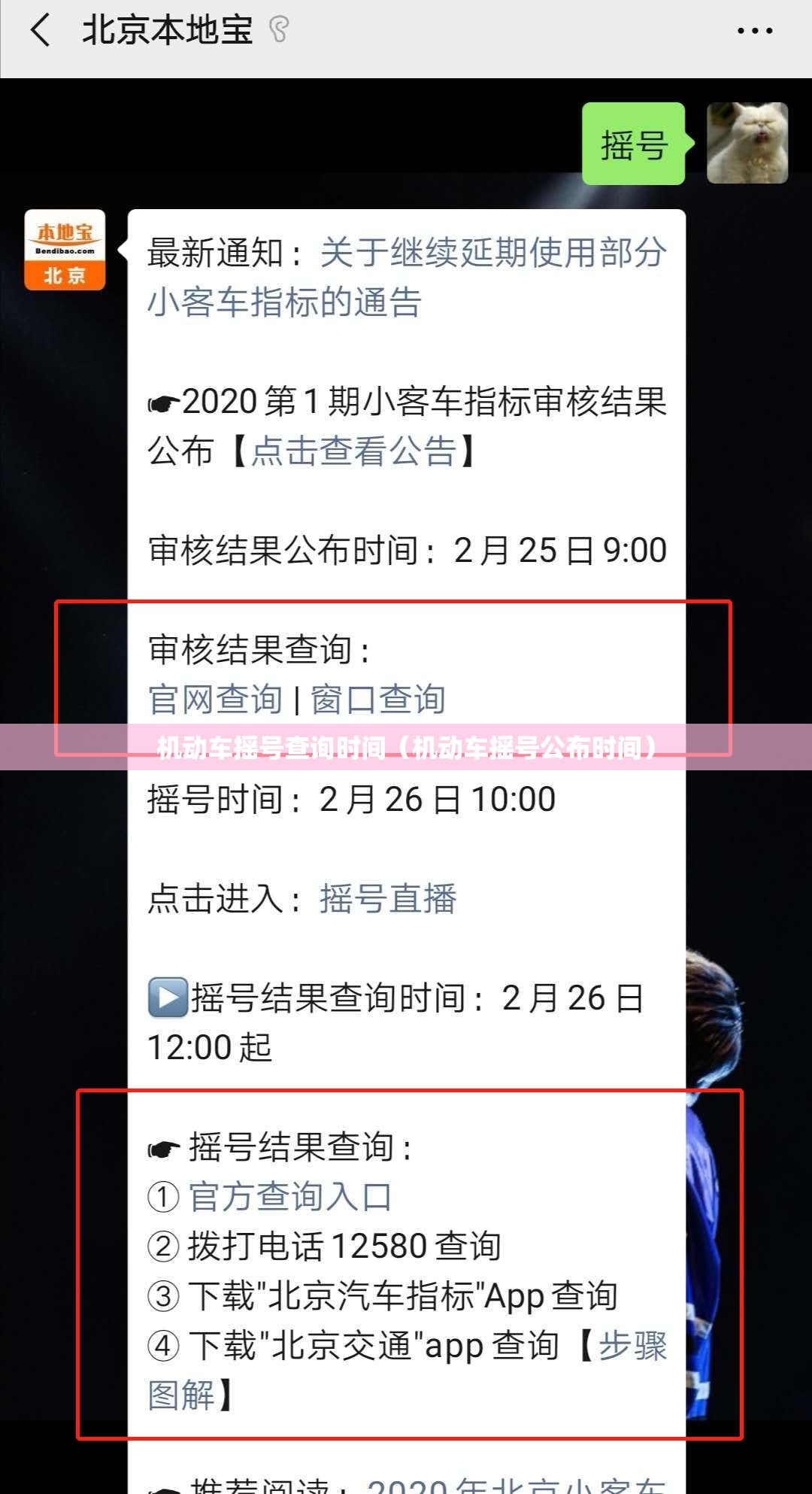 机动车摇号查询时间（机动车摇号公布时间）