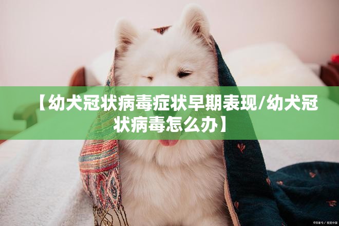 【幼犬冠状病毒症状早期表现/幼犬冠状病毒怎么办】