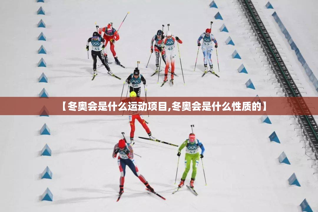 【冬奥会是什么运动项目,冬奥会是什么性质的】