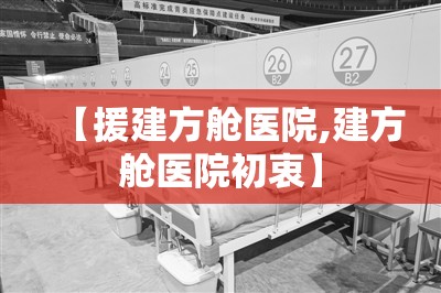 【援建方舱医院,建方舱医院初衷】