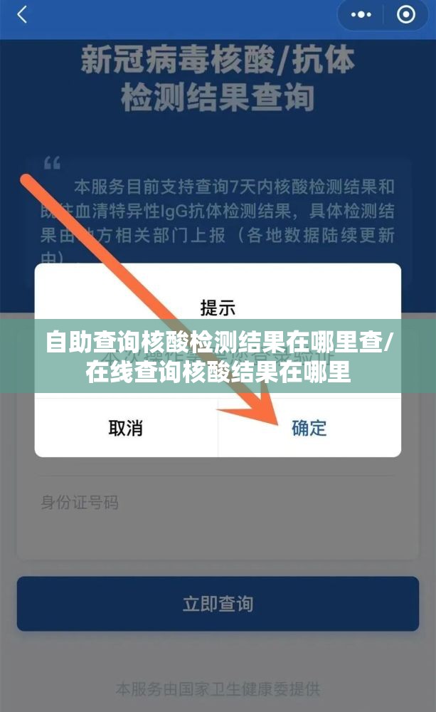 自助查询核酸检测结果在哪里查/在线查询核酸结果在哪里