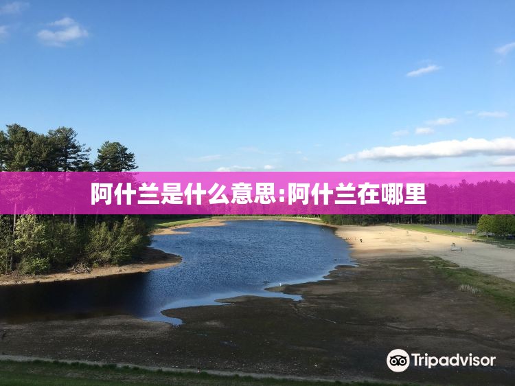阿什兰是什么意思:阿什兰在哪里