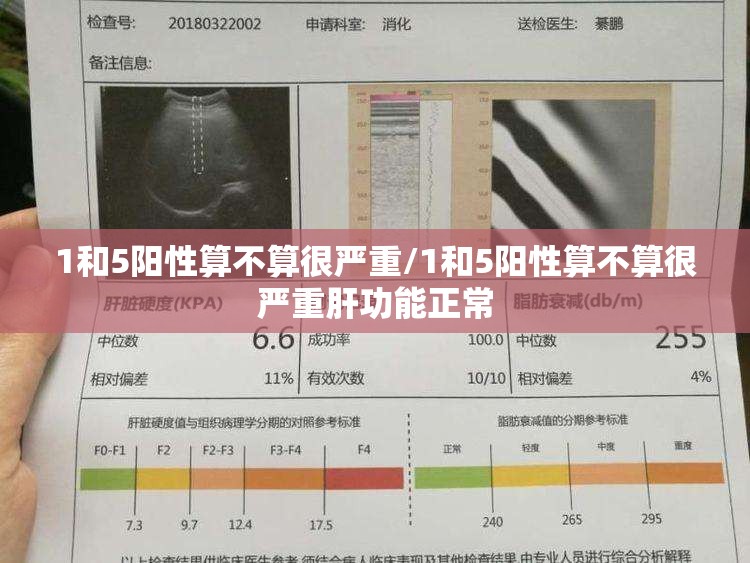 1和5阳性算不算很严重/1和5阳性算不算很严重肝功能正常
