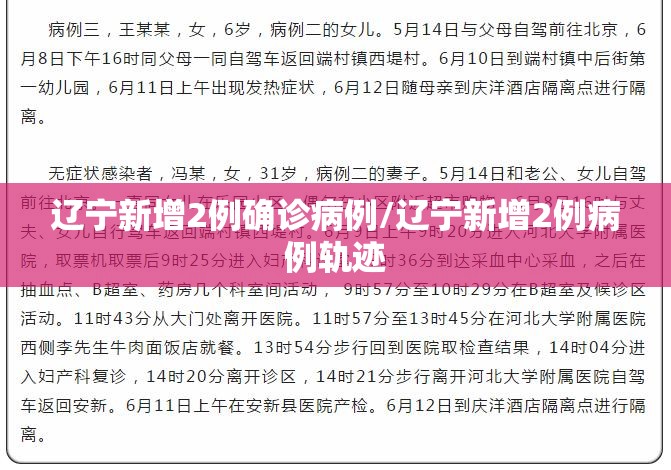 辽宁新增2例确诊病例/辽宁新增2例病例轨迹
