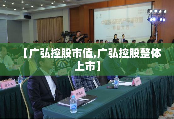 【广弘控股市值,广弘控股整体上市】