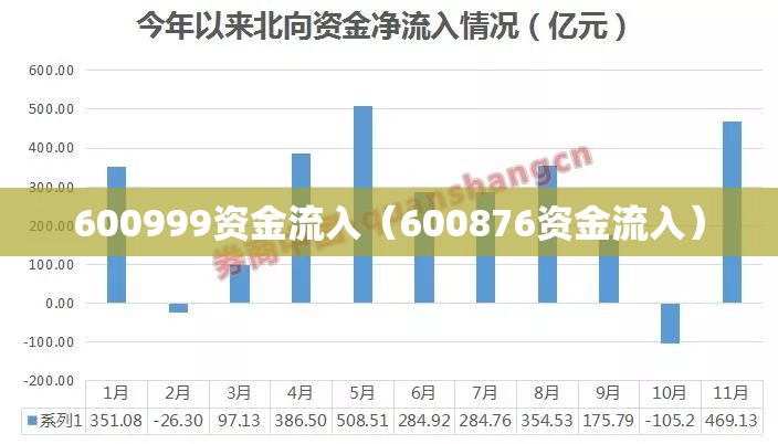 600999资金流入（600876资金流入）