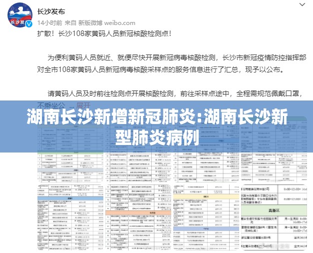 湖南长沙新增新冠肺炎:湖南长沙新型肺炎病例