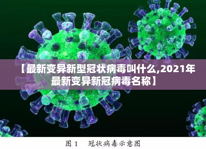 【最新变异新型冠状病毒叫什么,2021年最新变异新冠病毒名称】