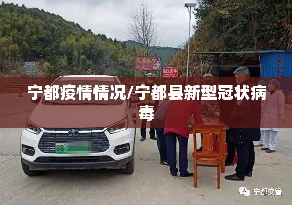 宁都疫情情况/宁都县新型冠状病毒