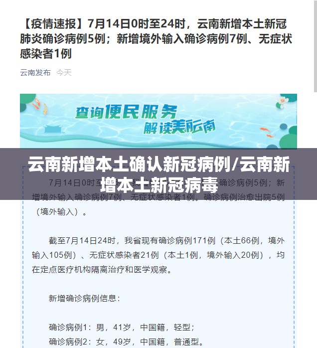 云南新增本土确认新冠病例/云南新增本土新冠病毒