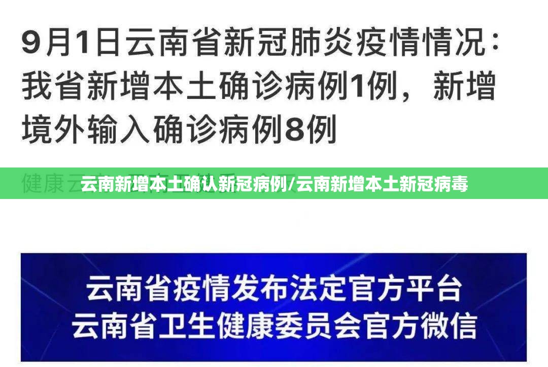 云南新增本土确认新冠病例/云南新增本土新冠病毒