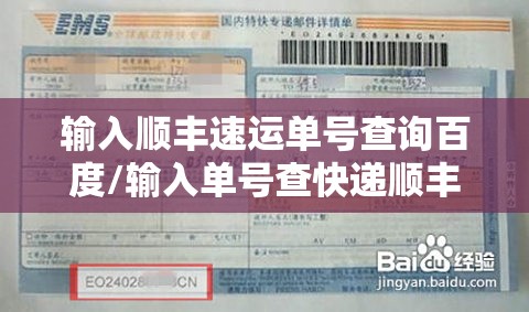 输入顺丰速运单号查询百度/输入单号查快递顺丰快递查询