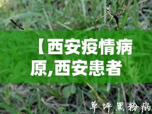 【西安疫情病原,西安患者疫情情况】