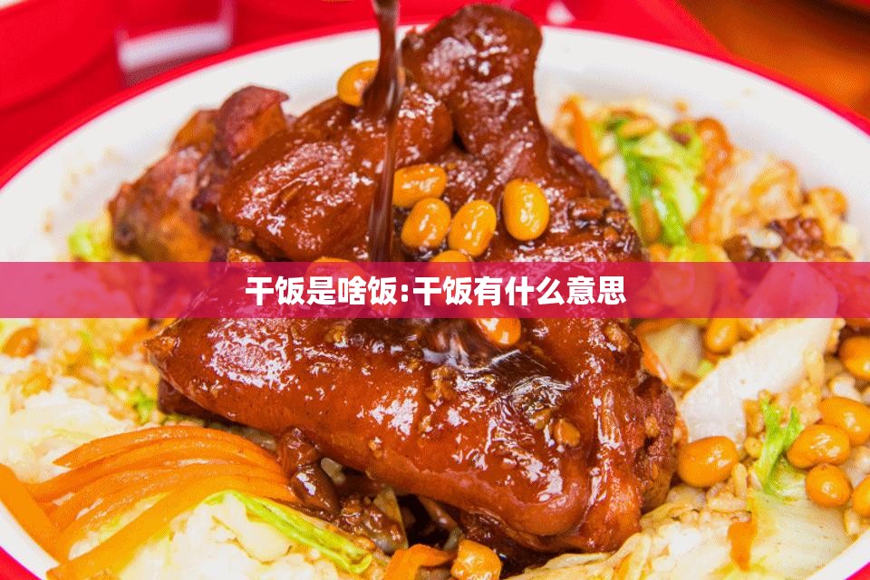 干饭是啥饭:干饭有什么意思