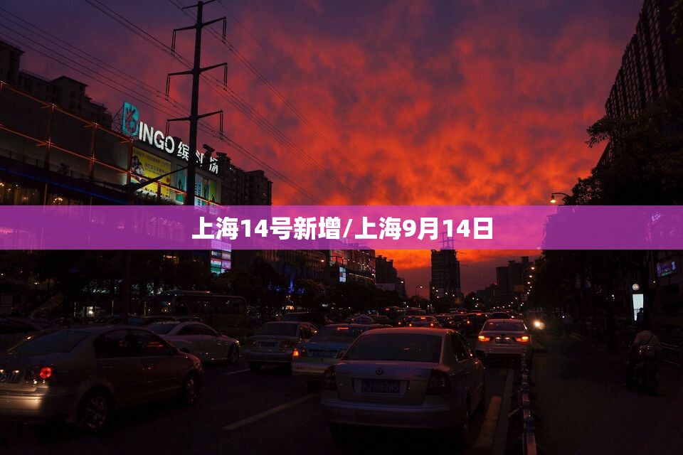 上海14号新增/上海9月14日