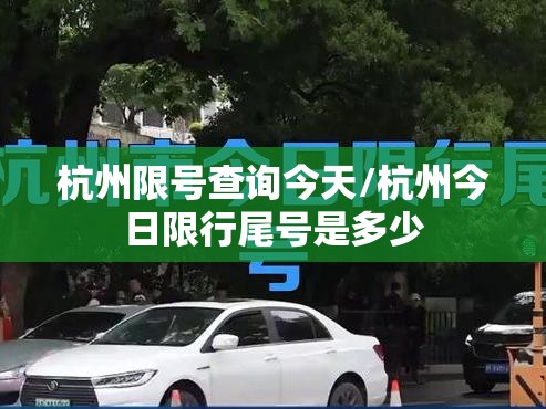 杭州限号查询今天/杭州今日限行尾号是多少