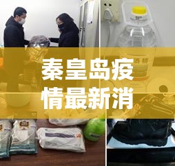 秦皇岛疫情最新消息今天新增一例/秦皇岛疫情最新公告 新闻