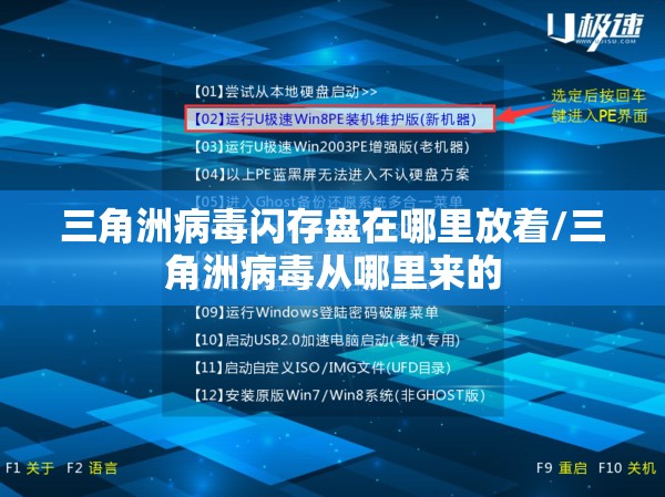 三角洲病毒闪存盘在哪里放着/三角洲病毒从哪里来的