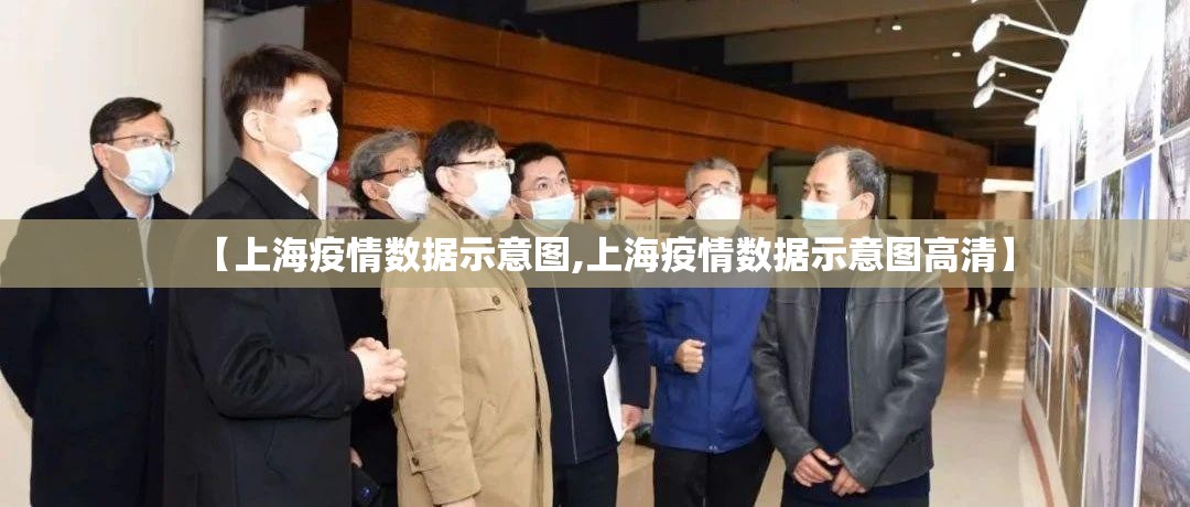 【上海疫情数据示意图,上海疫情数据示意图高清】