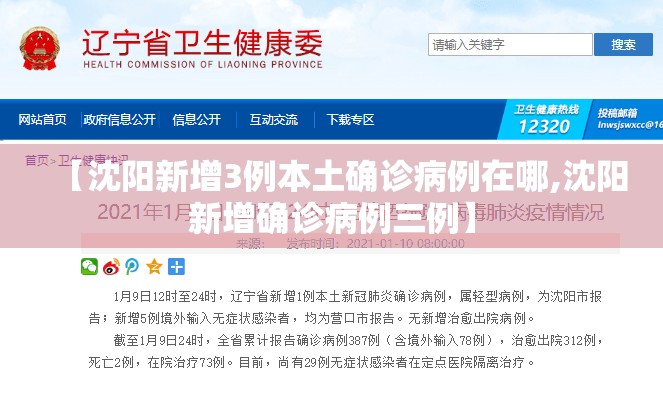 【沈阳新增3例本土确诊病例在哪,沈阳新增确诊病例三例】