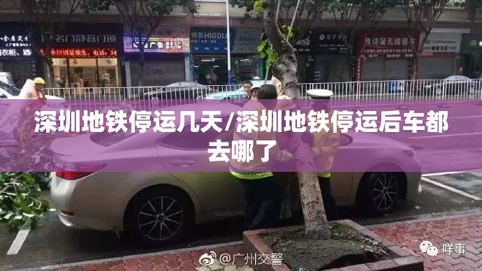 深圳地铁停运几天/深圳地铁停运后车都去哪了