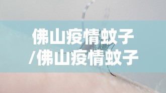 佛山疫情蚊子/佛山疫情蚊子还能去吗