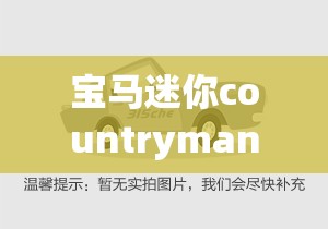 宝马迷你countryman的哈曼卡顿带功放的么:宝马mini的哈曼卡顿