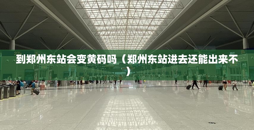 到郑州东站会变黄码吗（郑州东站进去还能出来不）