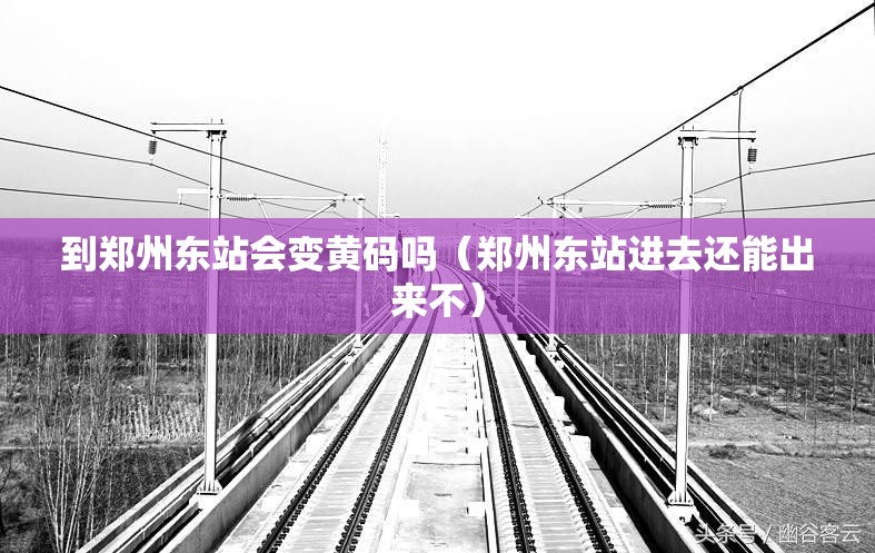 到郑州东站会变黄码吗（郑州东站进去还能出来不）
