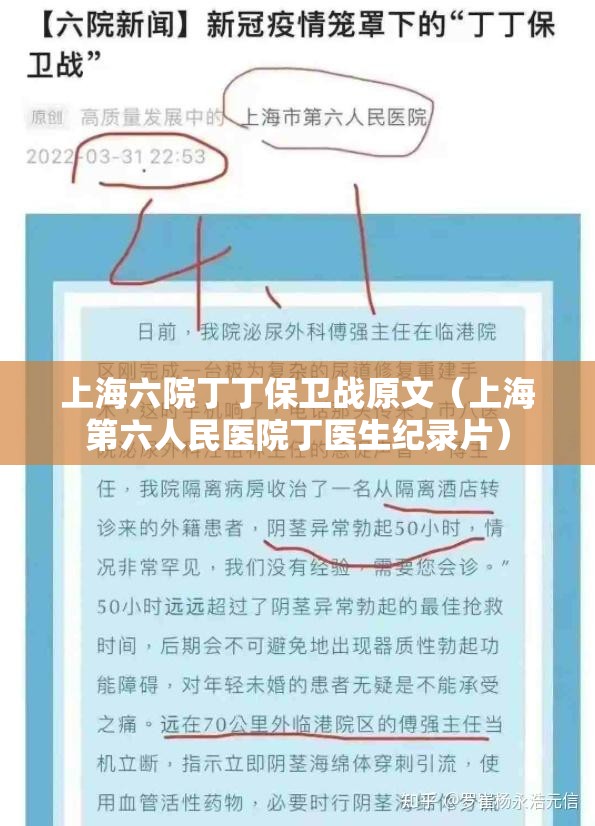 上海六院丁丁保卫战原文（上海第六人民医院丁医生纪录片）