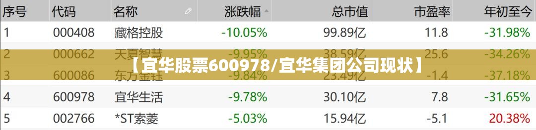 【宜华股票600978/宜华集团公司现状】