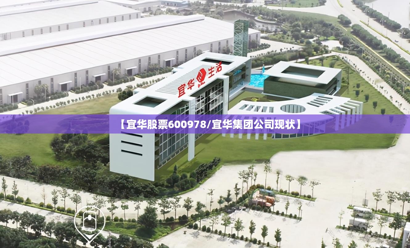 【宜华股票600978/宜华集团公司现状】