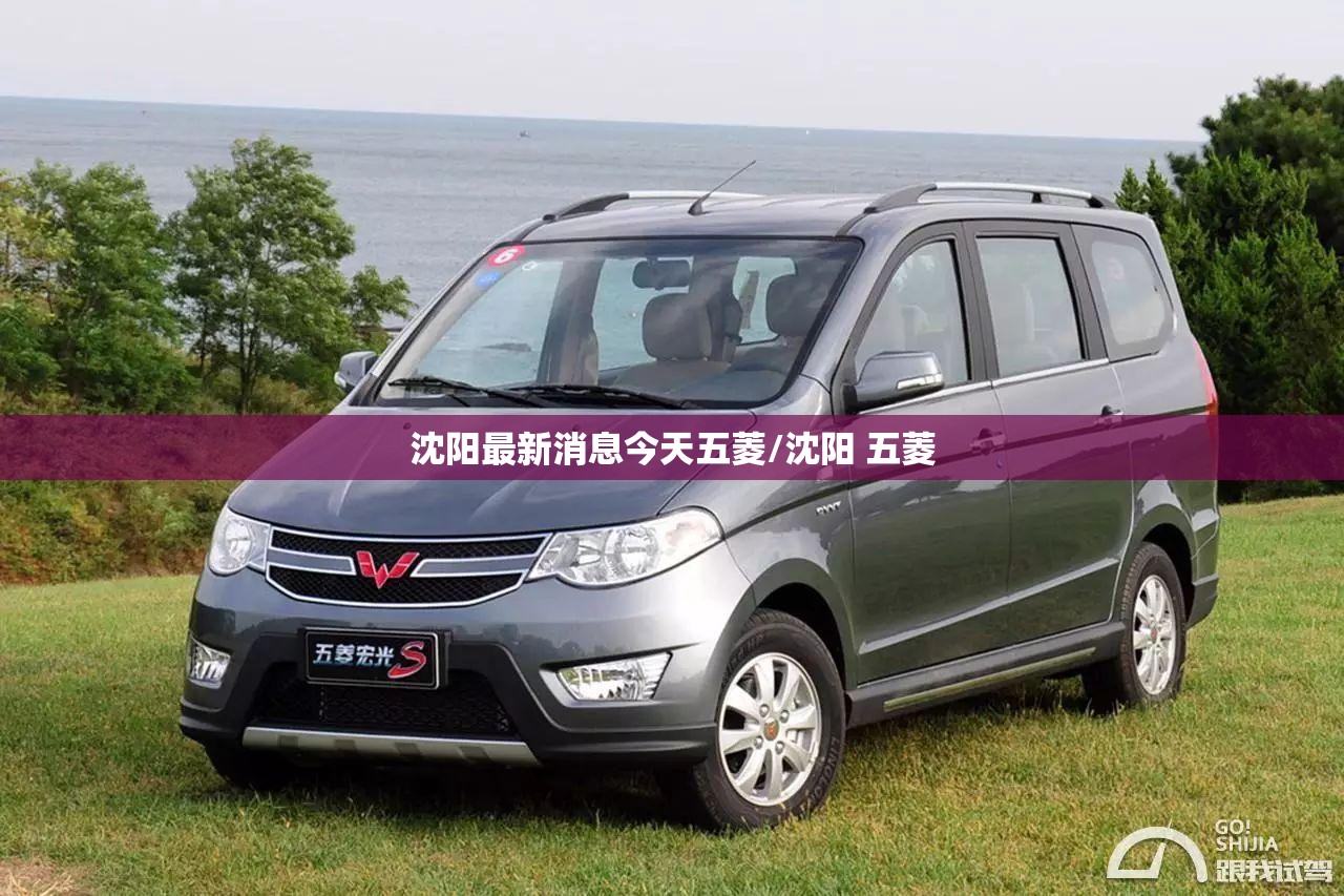 沈阳最新消息今天五菱/沈阳 五菱