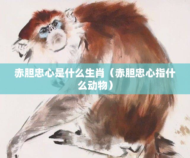 赤胆忠心是什么生肖（赤胆忠心指什么动物）