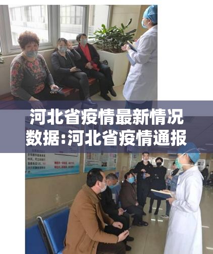 河北省疫情最新情况数据:河北省疫情通报最新消息