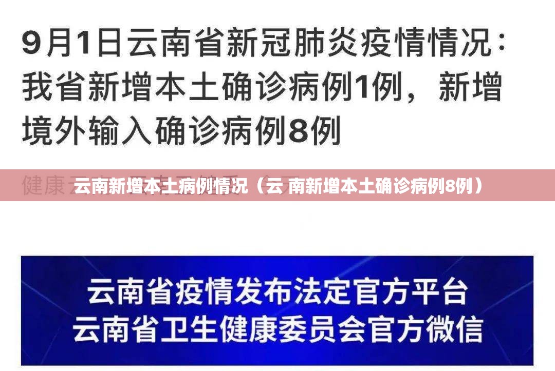 云南新增本土病例情况（云 南新增本土确诊病例8例）